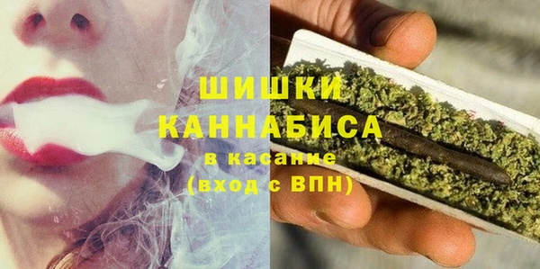 дурь Осташков