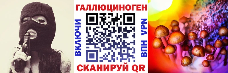 ссылка на мегу рабочий сайт  Палласовка  Галлюциногенные грибы Cubensis 
